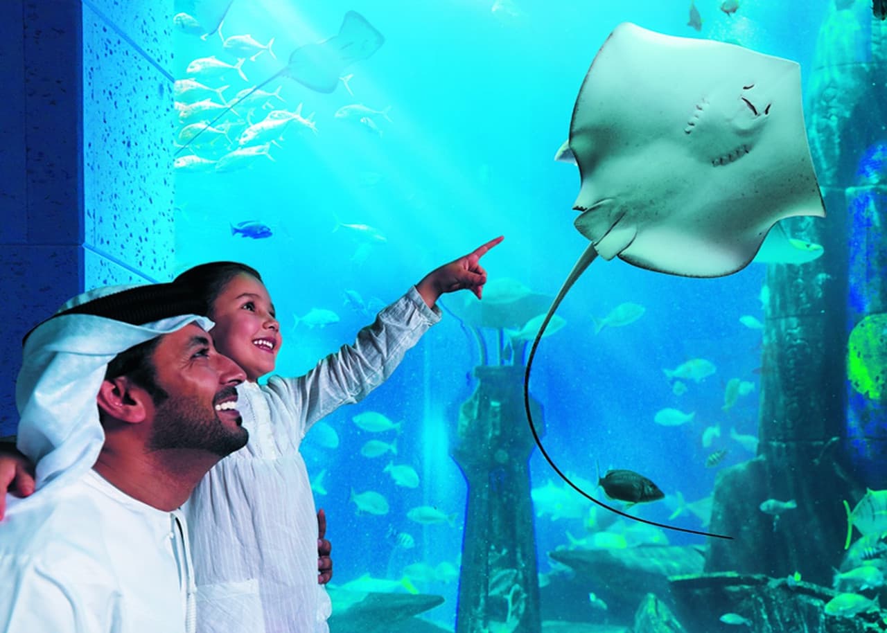 Atlantis Aquaventure World Dubai - The Lost World Aquarium Ticket - image 13